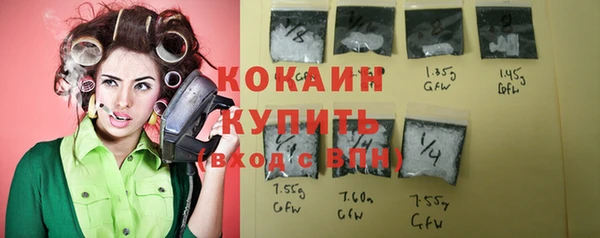 спиды Магас