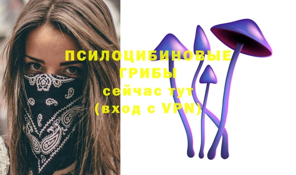 спиды Магас